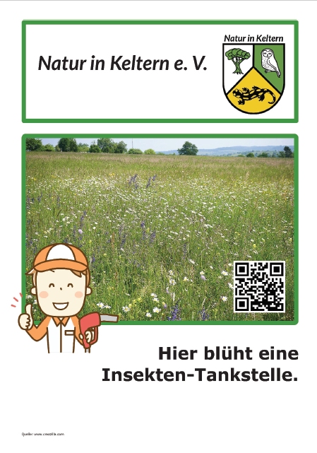 Plakat Blühwiese